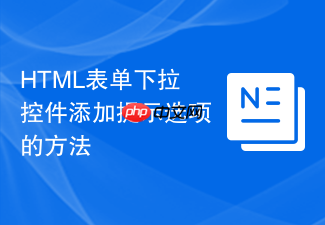 html表单下拉控件添加提示选项的方法
