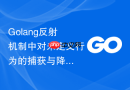 Golang反射机制中对未定义行为的捕获与降级处理