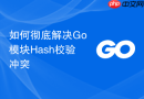 如何彻底解决Go模块Hash校验冲突