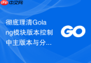 彻底理清Golang模块版本控制中主版本与分支版本的冲突解决策略