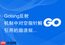 golang反射机制中对空指针解引用的崩溃规避