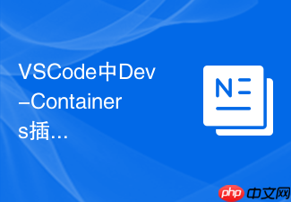vscode中dev-containers插件配置与标准化团队开发环境