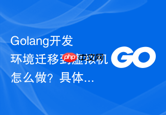 golang开发环境迁移到虚拟机怎么做?具体迁移操作演示