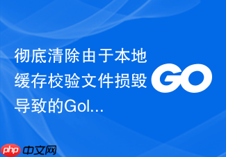 彻底清除由于本地缓存校验文件损毁导致的golang模块编译阻碍