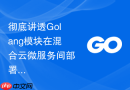彻底讲透Golang模块在混合云微服务间部署时如何进行接口契约规范校验