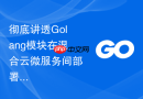 彻底讲透golang模块在混合云微服务间部署时如何进行接口契约规范校验