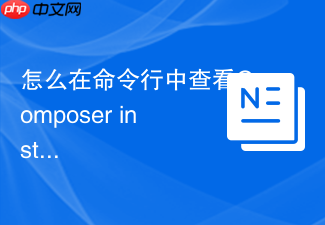 怎么在命令行中查看composer install命令的具体执行时间?