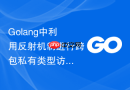 golang中利用反射机制进行跨包私有类型访问的探讨