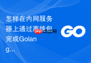 怎样在内网服务器上通过离线包完成golang开发环境搭建?政企开发必备