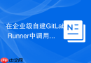 在企业级自建GitLab Runner中调用Composer install命令