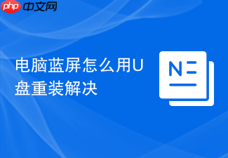 电脑蓝屏怎么用u盘重装解决