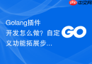 Golang插件开发怎么做？自定义功能拓展步骤演示