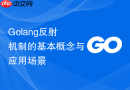 golang反射机制的基本概念与应用场景