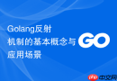 Golang反射机制的基本概念与应用场景