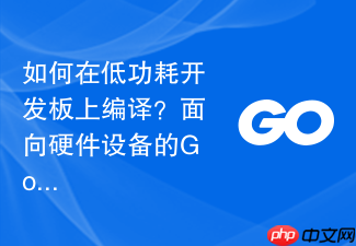 如何在低功耗开发板上编译?面向硬件设备的go语言环境搭建