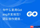 为什么要用Golang开发规范？团队协作提效秘诀