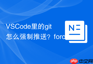 vscode里的git怎么强制推送?force push设置与使用