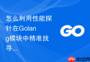 怎么利用性能探针在Golang模块中精准找寻出垃圾回收的主要压力源