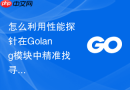 怎么利用性能探针在golang模块中精准找寻出垃圾回收的主要压力源