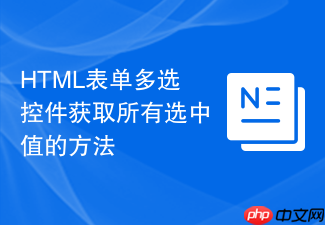 html表单多选控件获取所有选中值的方法