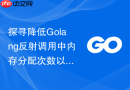 探寻降低Golang反射调用中内存分配次数以提升性能的方案