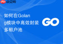 如何在Golang模块中高效封装多租户池