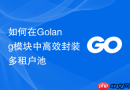 如何在golang模块中高效封装多租户池