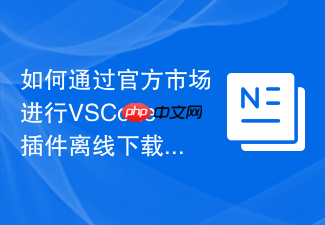如何通过官方市场进行vscode插件离线下载及版本选择