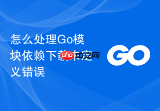 怎么处理go模块依赖下载未定义错误