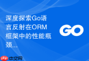深度探索Go语言反射在ORM框架中的性能瓶颈