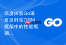 深度探索go语言反射在orm框架中的性能瓶颈