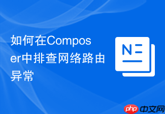 如何在composer中排查网络路由异常