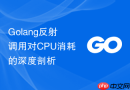 Golang反射调用对CPU消耗的深度剖析