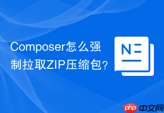 composer怎么强制拉取zip压缩包?prefer-dist与镜像【核心】
