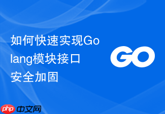 如何快速实现golang模块接口安全加固