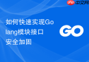如何快速实现Golang模块接口安全加固