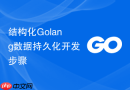 结构化golang数据持久化开发步骤
