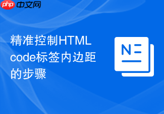 精准控制html code标签内边距的步骤