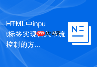html中input标签实现输入节流控制的方法