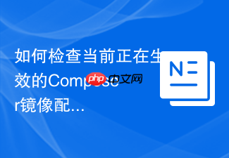 如何检查当前正在生效的composer镜像配置