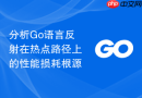 分析Go语言反射在热点路径上的性能损耗根源