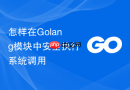 怎样在Golang模块中安全执行系统调用