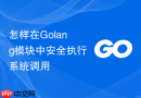 怎样在golang模块中安全执行系统调用