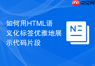 如何用html语义化标签优雅地展示代码片段