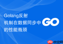 Golang反射机制在数据同步中的性能瓶颈