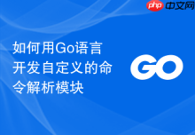 如何用Go语言开发自定义的命令解析模块