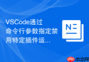 VSCode通过命令行参数指定禁用特定插件运行