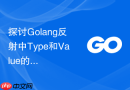 探讨Golang反射中Type和Value的性能差异与选择