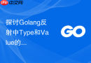 探讨golang反射中type和value的性能差异与选择