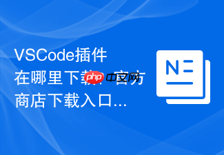 vscode插件在哪里下载?官方商店下载入口